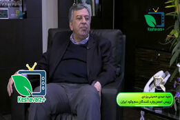 ناگفته های رییس انجمن وارد کنندگان سم وکود ایران در خصوص عدم همکاری جهت نابودی موش های تهران