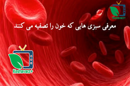 ویدئو معرفی سبزی هایی که خون را تصفیه می کنند. با دیدن این کلیپ و با خوردن این سبزی هایی که معرفی میکنیم میتوانید خون خودتون رو تصفیه کنید.