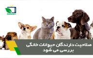 صلاحیت دارندگان حیوانات خانگی باید بررسی شود