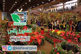 ویژگی های هفدهمین نمایشگاه گل و گیاه تهران از دیدگاه غرفه داران و بازدید کنندگان