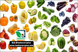 دانستنی های جالب از تفاوت رنگ میوه ها