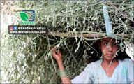 دردی پنهان در جامعه&#8230; !    آیا صرفه جویی می تواند کمک به حال کودکان کار باشد یانه؟