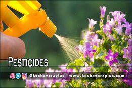 آموزش ساخت آفت کش خانگی با روشی کاملا آسان در منزل(دوبله اختصاصی)