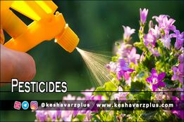 آموزش ساخت آفت کش خانگی با روشی کاملا آسان در منزل(دوبله اختصاصی)