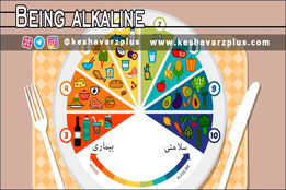 با خوردن غذاهای قلیایی سلامت خود را تضمین کنید