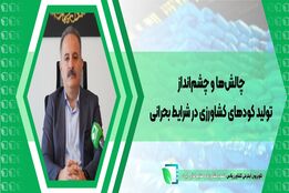  چالش‌ها و چشم‌انداز تولید کودهای کشاورزی در شرایط بحرانی
