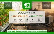  کشت گلخانه‌ای در ایران؛ نجات کشاورزی یا مصرف پنهان انرژی؟