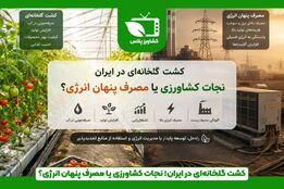  کشت گلخانه‌ای در ایران؛ نجات کشاورزی یا مصرف پنهان انرژی؟