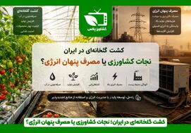  کشت گلخانه‌ای در ایران؛ نجات کشاورزی یا مصرف پنهان انرژی؟