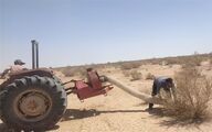 ملخ‌های بومی برای تولید خوراک طیور و آبزیان جارو می‌شوند