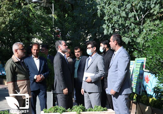 گالری