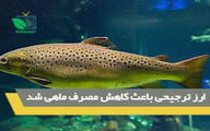 3 برابر شدن قیمت ماهی از مزرعه تا سفره