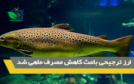 3 برابر شدن قیمت ماهی از مزرعه تا سفره
