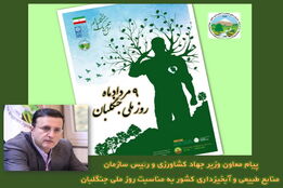 مرزبانان سبز وطن؛ نگهبانان بی‌ادعای انفال الهی/پیام رئیس سازمان منابع طبیعی و آبخیزداری کشور به مناسبت روز ملی جنگلبان