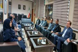 ضرورت آمادگی برای مقابله با هجوم احتمالی ملخ صحرایی به مزارع