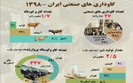 گاوداری های صنعتی ایران