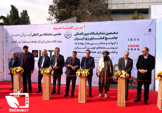 گالری