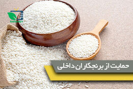 تدابیر وزارت جهادکشاورزی برای حمایت از برنجکاران داخلی