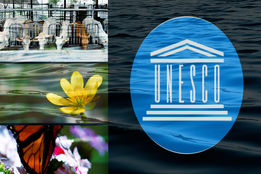 آب؛ بحران بی مرز، امید بی پایان!