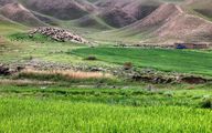 ۲۶ ایستگاه تولید بذر مرتعی در کشور فعال می شود