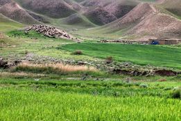 ۲۶ ایستگاه تولید بذر مرتعی در کشور فعال می شود