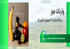 تسهیلات جدید واردات موز در قبال صادرات سیب، کشمش، پرتقال و کیوی ابلاغ شد