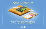 "گندم اعتبار دارد" گرین‌پی ویژه گندم‌کاران 