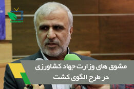 مشوق های وزارت جهاد کشاورزی در طرح الگوی کشت