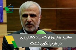 مشوق های وزارت جهاد کشاورزی در طرح الگوی کشت