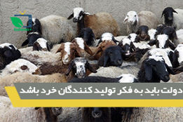 دولت باید به فکر تولید کنندگان خرد باشد
