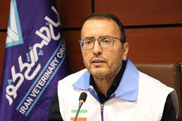 هشدار درباره کریدور صلیبی انتقال دام؛ «عدم اجرای مصوبات، ویروس را گسترش داد