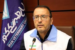 هشدار درباره کریدور صلیبی انتقال دام؛ «عدم اجرای مصوبات، ویروس را گسترش داد