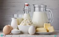 صادرات لبنیات ایران؛ دستاورد اقتصادی یا زنگ خطری برای امنیت غذایی؟