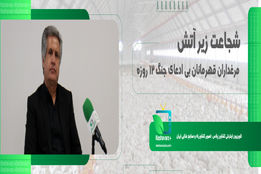 شجاعت زیر آتش؛ مرغداران، قهرمانان بی ادعای جنگ 12 روزه