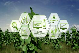 پویش ملی برای تحول کشاورزی ایران؛ فرصتی طلایی برای ایده‌پردازان و متخصصان