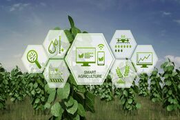 پویش ملی برای تحول کشاورزی ایران؛ فرصتی طلایی برای ایده‌پردازان و متخصصان