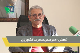 کاهش 50درصدی صادرات کشاورزی