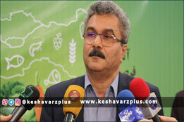 قائم مقام معاونت توسعه بازرگانی و صنایع کشاورزی: با هر نوع صادرات و وارداتی موافقیم