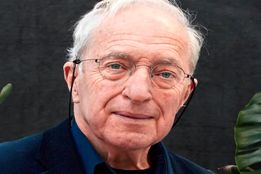  زنبورها چگونه بدون فرمانروا زندگی می‌کنند!؟/ گفت‌وگو با ژاک فان آلفن