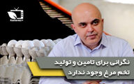 نگرانی بابت تامین و تولید تخم مرغ در کشور وجود ندارد