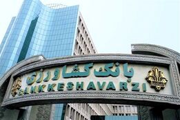 تسهیلات خرید نهاده بانک کشاورزی را مرغداران نمی‌خواهند