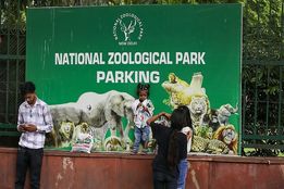 تعطیلی باغ‌وحش دهلی به دلیل شیوع آنفلوانزای پرندگان