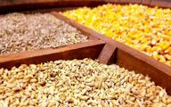 پرداخت تسهیلات برای خرید نهاده‌ با حذف ارز ترجیحی