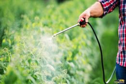 8 محصول جدید به سبد آفت‌کش گیاهی اضافه می‌شود