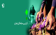 گرانی بی سابقه گل زعفران
