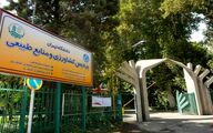 ۶ دانشگاه برتر ایران در رتبه بندی جهانی اعلام شد