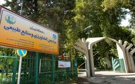 ۶ دانشگاه برتر ایران در رتبه بندی جهانی اعلام شد