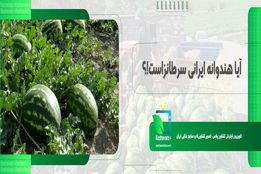 آیاهندوانه ایرانی سرطان زاست؟