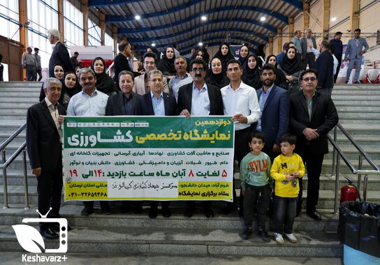 گالری