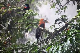 تصویب ۳۷۲ میلیون دلار از سوی صندوق جهانی محیط‌زیست برای پروژه‌های زیست‌محیطی؛ تمرکز ویژه بر تنوع زیستی